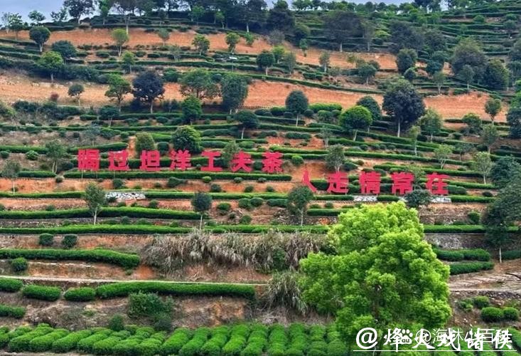 昔日山“锁”村 如今网红点